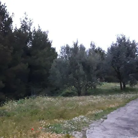 Apartment Nuncijata